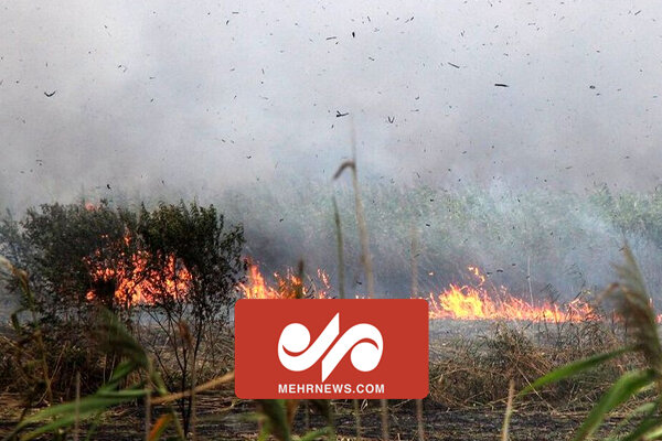 دستگیری ۴ متهم در حادثه آتش سوزی تالاب بندر انزلی 