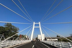 بازوند:  پل‌های کابلی محور هراز پیشرفت ۸۰ درصدی دارد