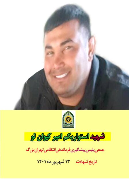 شهادت پلیس در پایتخت/ ضربه چاقو به قلب عامل شهادت