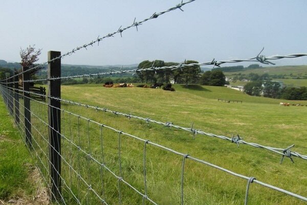 رفع تصرف ۱۰۰۰ متر مربع از اراضی ملی در رودسر رفع تصرف ۱۰۰۰ متر مربع از اراضی ملی در رودسر