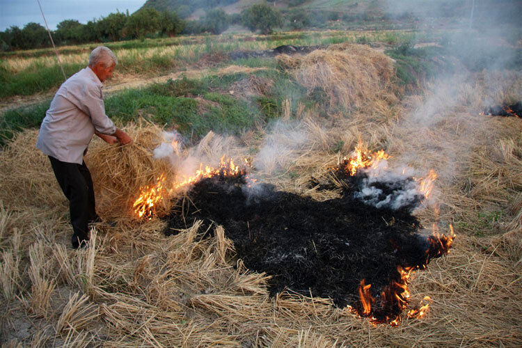 برخورد قاطع با سوزاندن ضایعات کشاورزی در آستانه اشرفیه