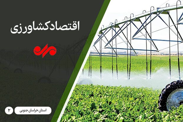 ثروتهایی که ریشه در خاک دارند ثروتهایی که ریشه در خاک دارند