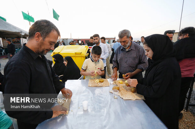 میزبانی بوشهریها از زائران ۵ استان/ ۵۴ موکب در عراق مستقر شد