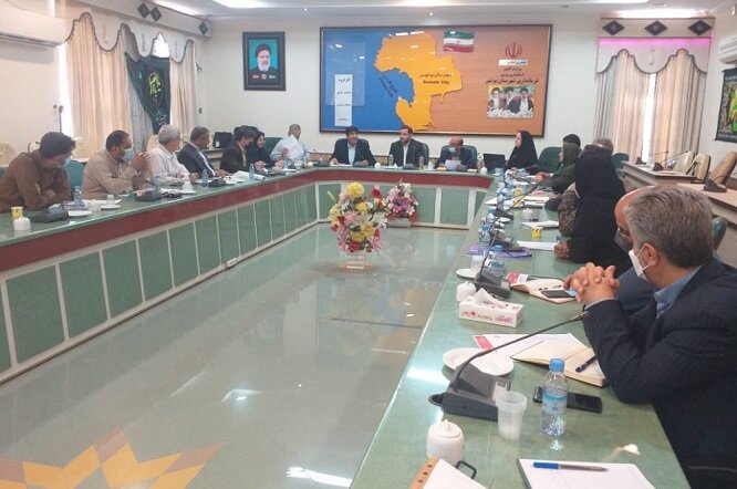 اجرای برنامه‌های تقویت تاب‌آوری و مشارکت زنان سالمند در بوشهر