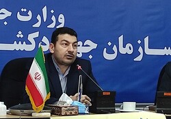 پرورش قراردادی دام در گلستان/۶۲۰۰ رأس دام زیر پوشش این طرح رفت