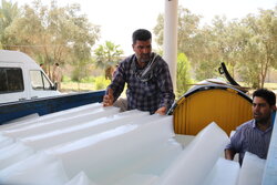 بنیاد احسان در کربلا ۵ هزار قالب یخ توزیع می کند