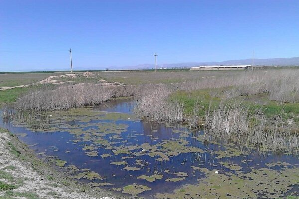 تالاب اللهآباد در وضعیت هشدار؛ گرد و غبار تا تهران و البرز حرکت میکند