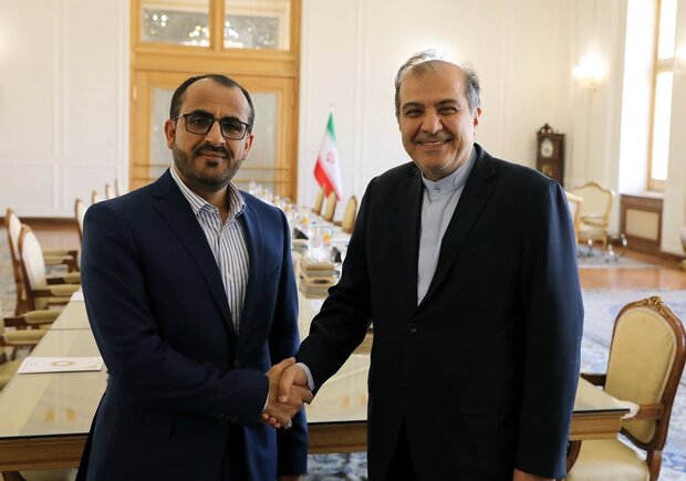 Yemeni spokesman meets with Iran's FM assistant 