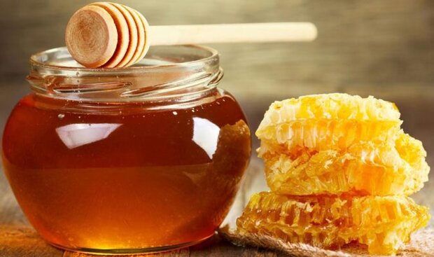 تولید بیش از ۴ هزار و ۴۰۰ تن عسل در استان همدان