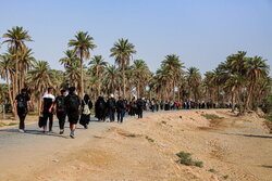 Pilgrims' trek to Karbala