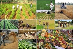 Iran to hold agriculture, food industries exhibition in UAE