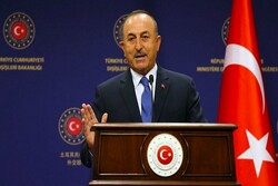 اوغلو: تحول مثبتی در خصوص استرداد تروریست ها به ترکیه نمی بینیم