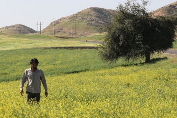 «درب» در سینماهای فرانسه روی پرده می‌رود