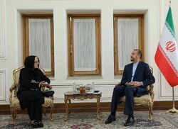 Newly-appointed UNESCO rep. meets Iran’s FM