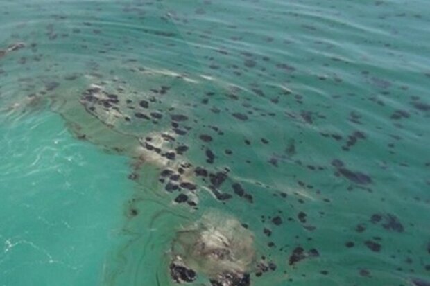 ثبت ۳۸ مورد آلودگی در آبهای بوشهر/ محیطبانی دریایی تقویت شود