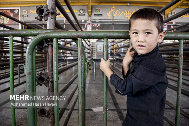 زائران غیر ایرانی با مدارک معتبر از مرز شلمچه تردد میکنند