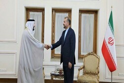 Tehran interested in expanding ties with Abu Dhabi: FM