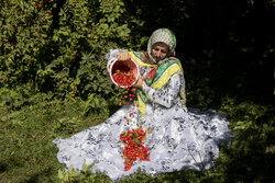 کلیبر؛ روایت رنگ و طعم در قلب ارسباران