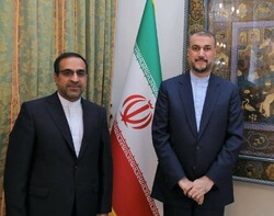 سفیر ایران در دهلی‌نو با امیرعبداللهیان دیدار و گفتگو کرد