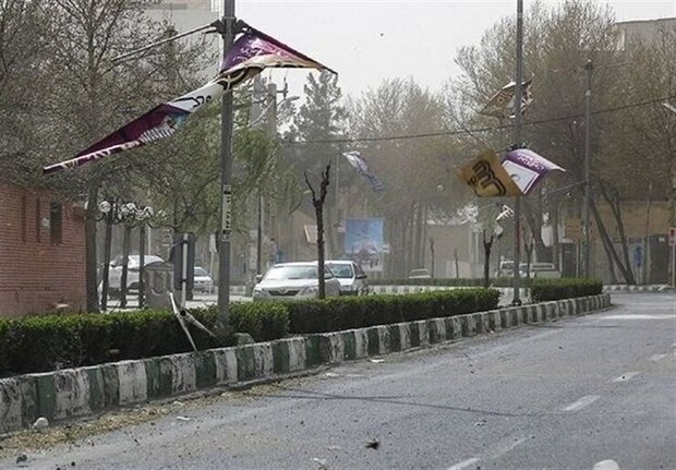 وزش باد شدید در پایتخت/ سقوط چندین درخت و تیر چراغ برق 