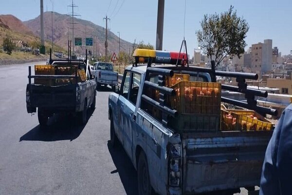 ۳۰۰ خودروی وانت میوه فروش در تبریز در انحصار ۱۸ نفر است
