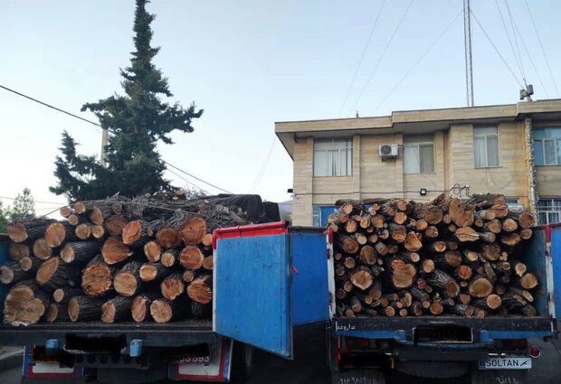  ۲۲ تن چوب جنگلی قاچاق در زنجان کشف شد
