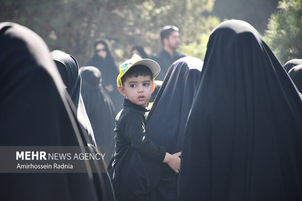 جاماندگان اربعین در بیرجند