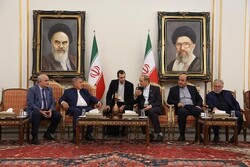 Tatarstan president arrives in Tabriz for economic talks