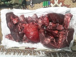 گوشت مرال از شکارچیان متخلف در شهرستان علی آبادکتول کشف شد