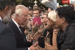 VIDEO: UK King skips black man while greeting crowd