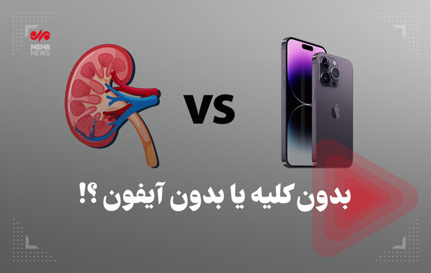 بدون کلیه یا بدون آیفون؟!