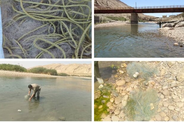 جمع‌آوری تورهای غیرمجاز صید ماهی در رودخانه «سیمره»