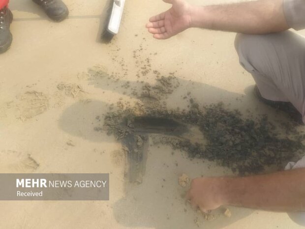 ردپای «تاربالهای نفتی» بر سواحل بوشهر/ مسئولان چاره اندیشی کنند