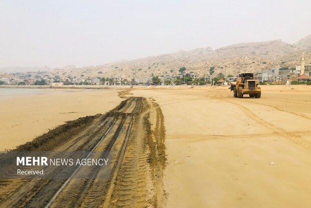 ردپای «تاربالهای نفتی» بر سواحل بوشهر/ مسئولان چاره اندیشی کنند