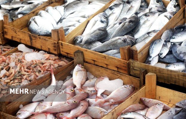 Iran's Hormozgan exports over 46K tons of aquatic products