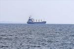 خروج ۱۳ کشتی دیگر حامل غلات از بنادر اوکراین