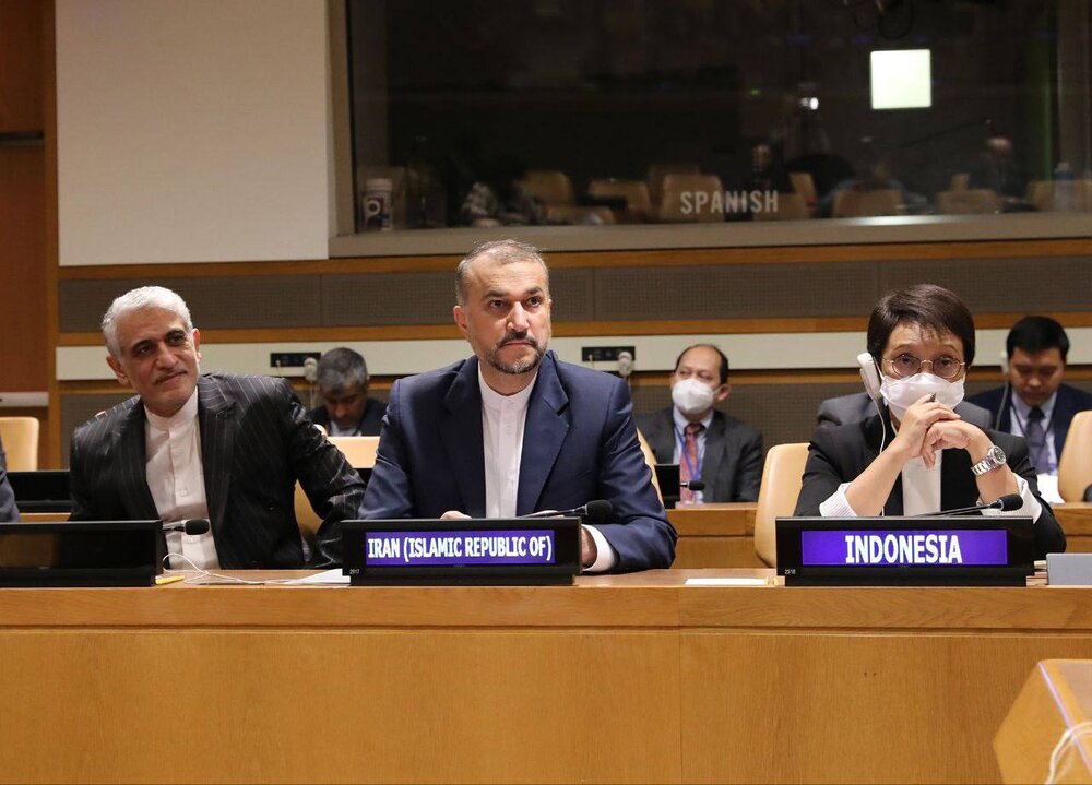 امیرعبداللهیان در نشست کمیته فلسطین جنبش عدم تعهد سخنرانی کرد