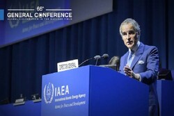 Grossi stresses need to find solutions to Iran-IAEA issues