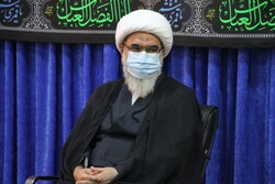 گروه‌های جهادی استان بوشهر نقش مهمی در رفع مشکلات دارند