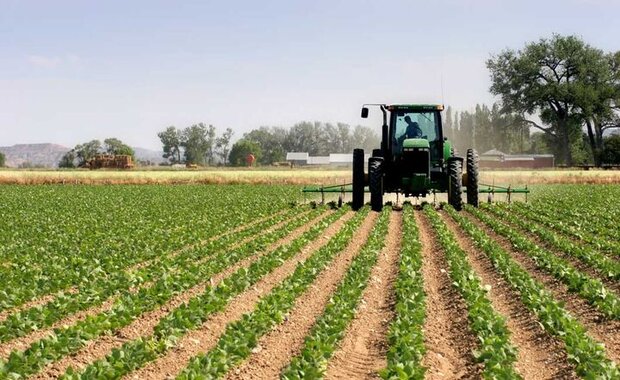 رشد ۱۱۵ درصدی اشتغال در بخش کشاورزی ایلام