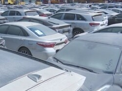 مزایده خودروهای وارداتی در استان بوشهر آغاز شد