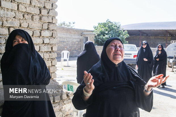 پرستوی مهاجر به خانه بازگشت