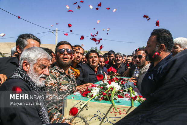 پرستوی مهاجر به خانه بازگشت