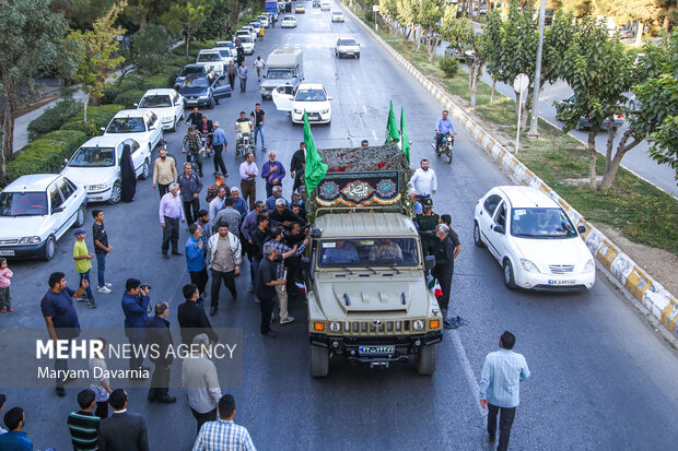 پرستوی مهاجر به خانه بازگشت