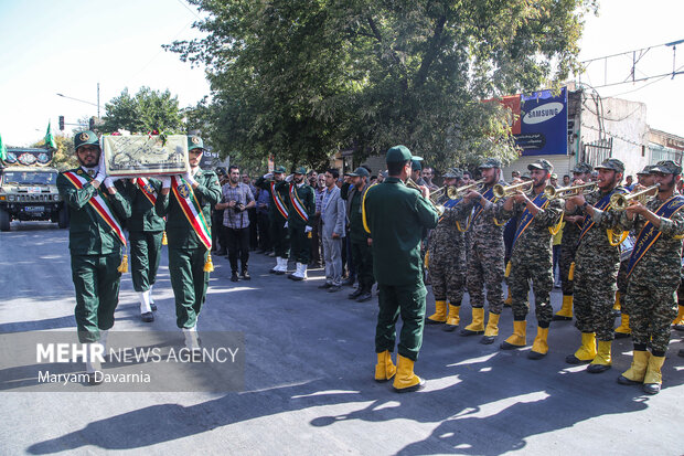 پرستوی مهاجر به خانه بازگشت