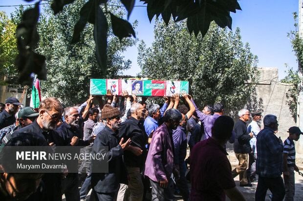 پرستوی مهاجر به خانه بازگشت