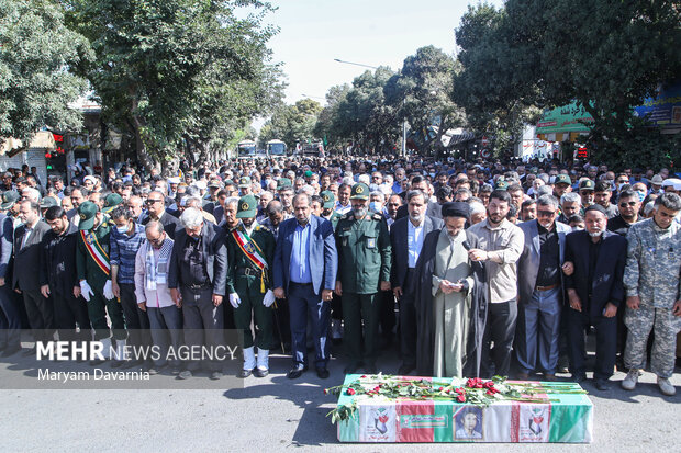 پرستوی مهاجر به خانه بازگشت