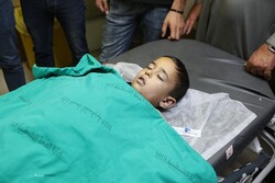 اتحادیه اروپا: از جان باختن کودک فلسطینی شوکه شدیم
