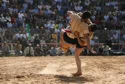 Traditional wrestling festival