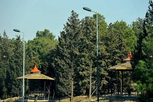 افزایش سرانه فضای سبز با آمادهسازی ۱۱ هکتار از مجموعه ساصد